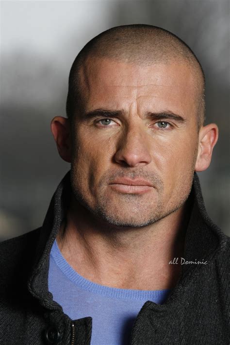 dominic purcell images